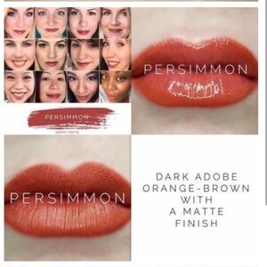 LipSense Lasting Liquid Lip Color Persimmon Lip Gloss New & Sealed